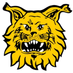 Ilves